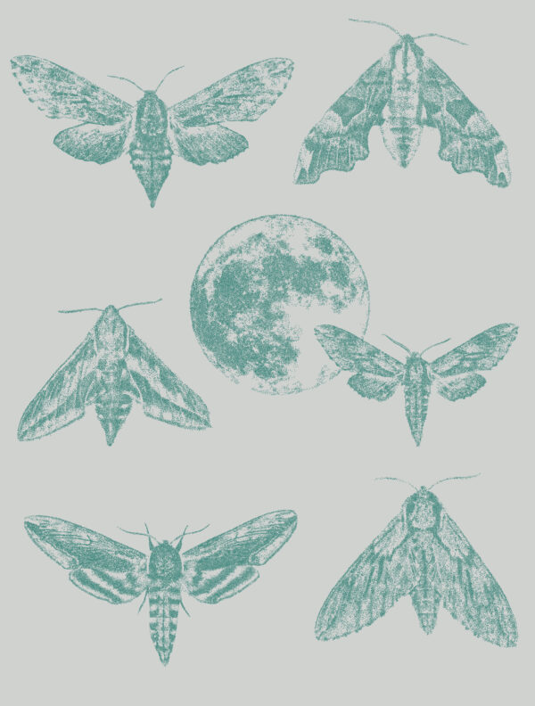 Designer wallpaper Amazing Moths with a cool gray background, featuring malachite green moths and the moon in stippling technique.