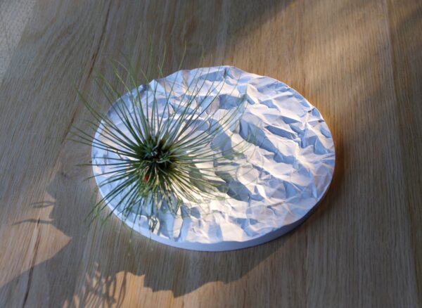 Arid betoonist alus, kortsutatud paberi tekstuuriga, Eesti tootedisain, kollektsioneeritav dekoratiivne ese. / Arid concrete tray with crumpled paper texture, Estonian product design, collectible decorative item