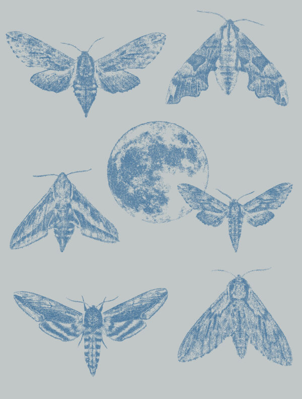 Disainertapeet Amazing Moths, halli tausta ja safiirsiniste liblikatega, täpitehnikas kujundatud, lisab ruumile luksusliku ja rahuliku ilme.
