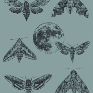 Exclusive designer wallpaper Amazing Moths with a greenish-blue November Rains background, featuring black moths and the moon in stippling technique, perfect for sophisticated interiors.