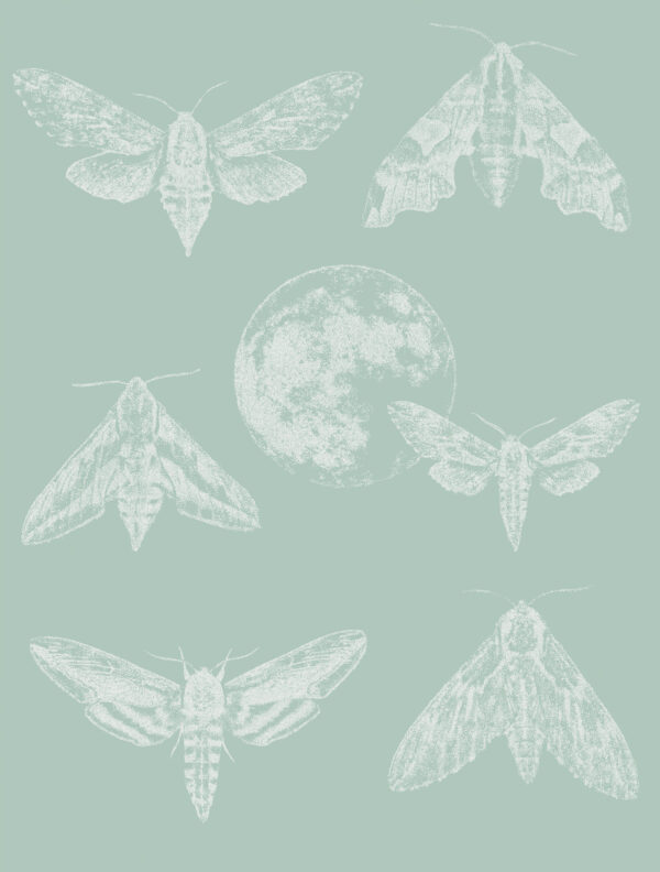 Disainertapeet Amazing Moths, helerohelise taustaga, täpitehnikas valgete ööliblikate ja kuu kujutisega.
