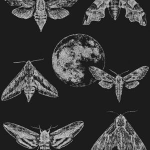Eksklusiivne disainertapeet Amazing Moths, musta tausta ja valgete liblikatega, lisab ruumile ajatut stiili ja kontrastset elegantsi.