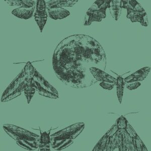 Disainertapeet Amazing Moths, estragoni rohelise tausta ja mustade liblikatega, toob ruumi looduslähedase ja kaasaegse esteetika.